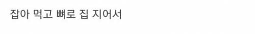 맘모스가 멸종한 이유를 잘 보여주는 유적