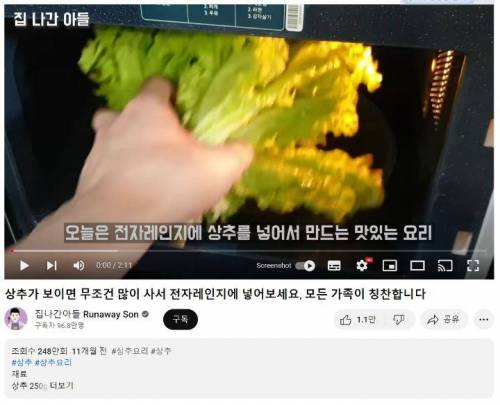 영상 콘셉트를 베낀 요리유튜버