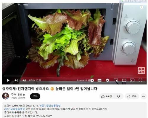 영상 콘셉트를 베낀 요리유튜버