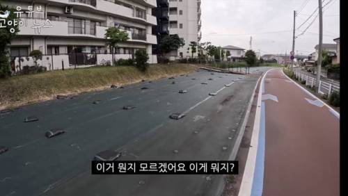 일본에 간 어느 유튜버.jpg
