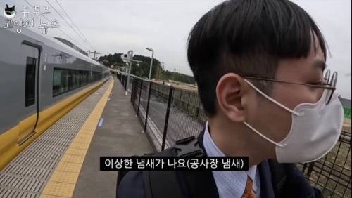 일본에 간 어느 유튜버.jpg