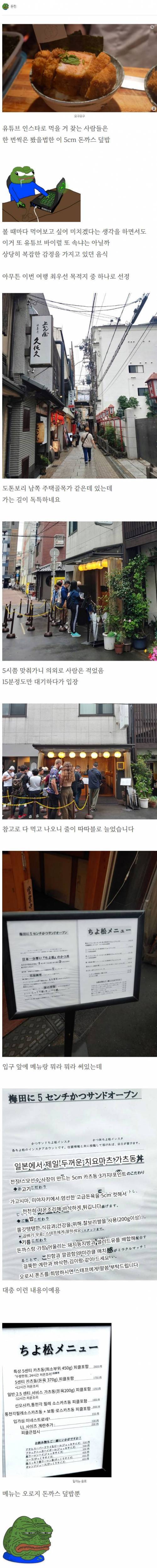 유튜브 나오던 5cm 돈까스 덮밥 후기.jpg