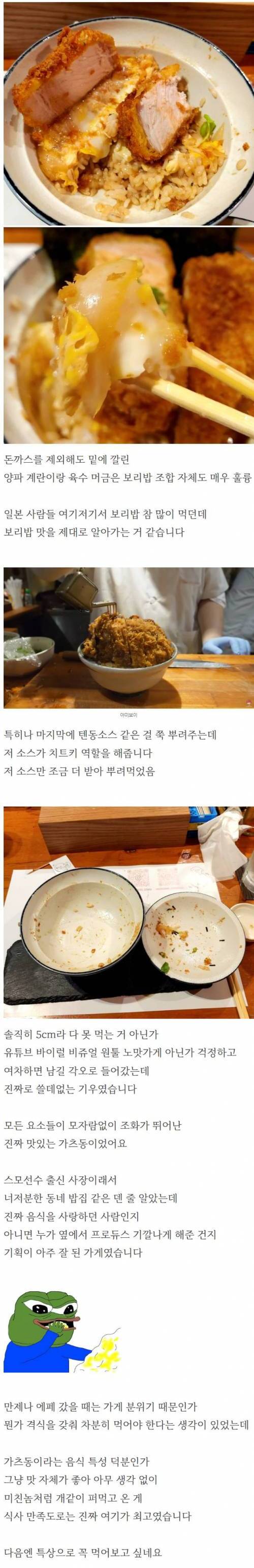 유튜브 나오던 5cm 돈까스 덮밥 후기.jpg