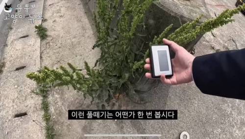 일본에 간 어느 유튜버.jpg