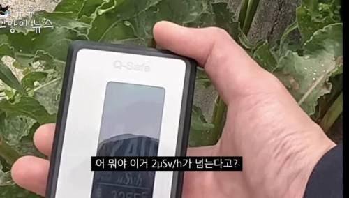 일본에 간 어느 유튜버.jpg