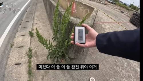 일본에 간 어느 유튜버.jpg