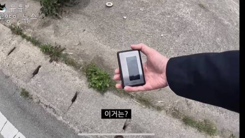 일본에 간 어느 유튜버.jpg