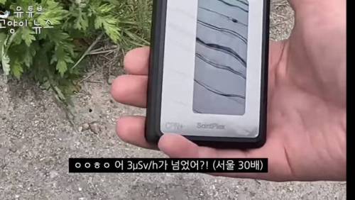 일본에 간 어느 유튜버.jpg
