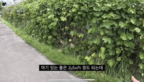 일본에 간 어느 유튜버.jpg