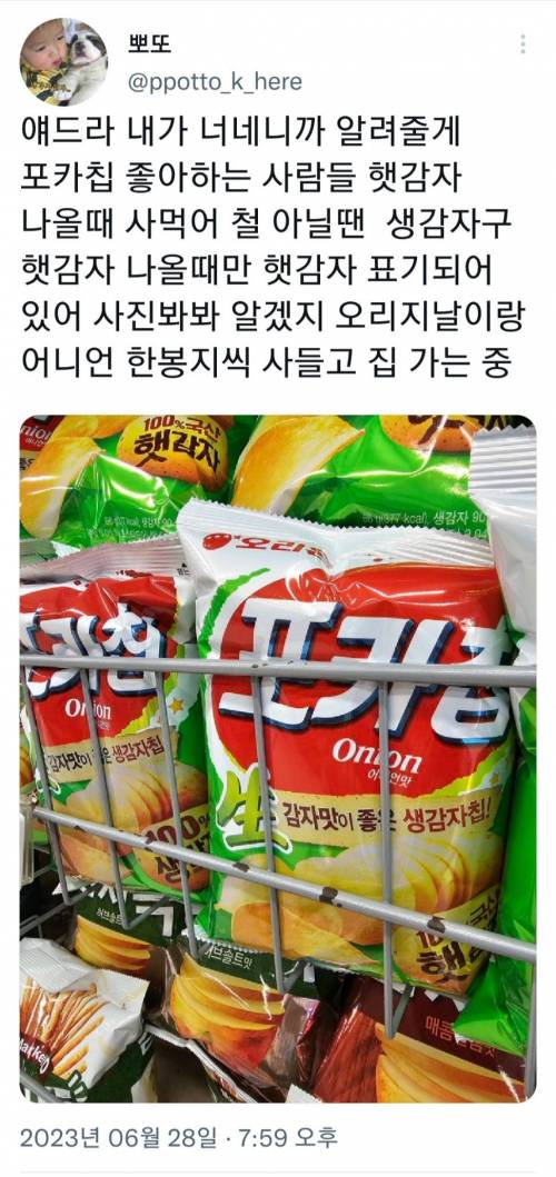 요즘 제철이라는 과자.twt