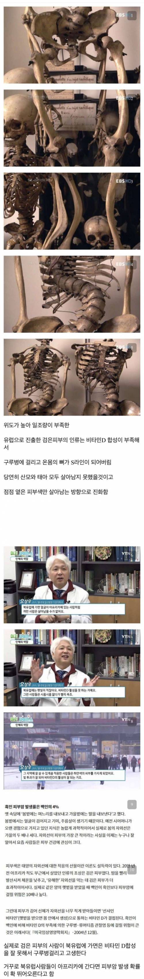 북유럽 사람 피부가 하얗게 진화한 이유