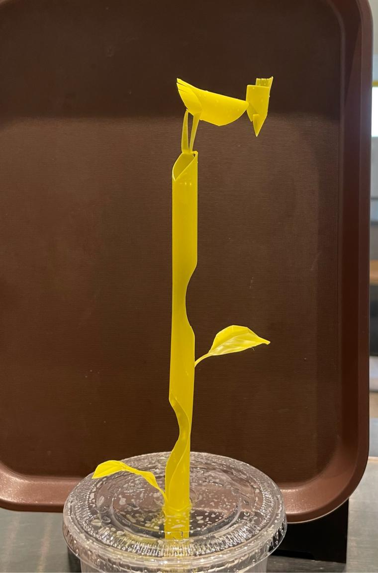 빽다방 알바 근황.jpg