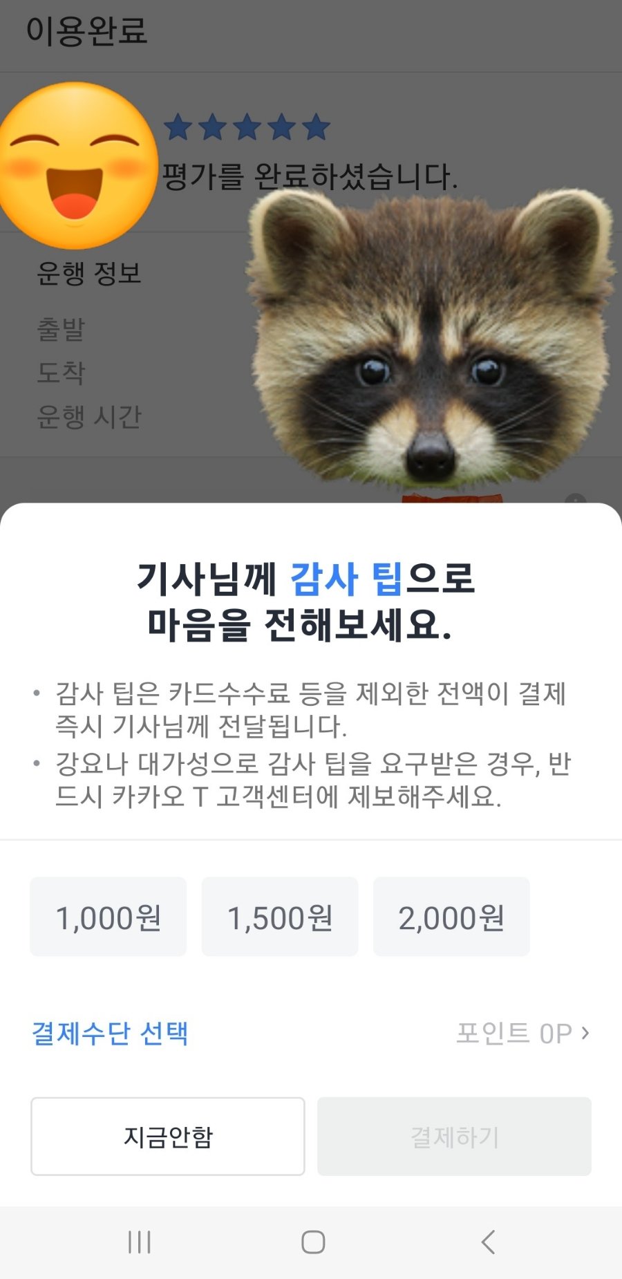 카카오택시에 추가된 신기능
