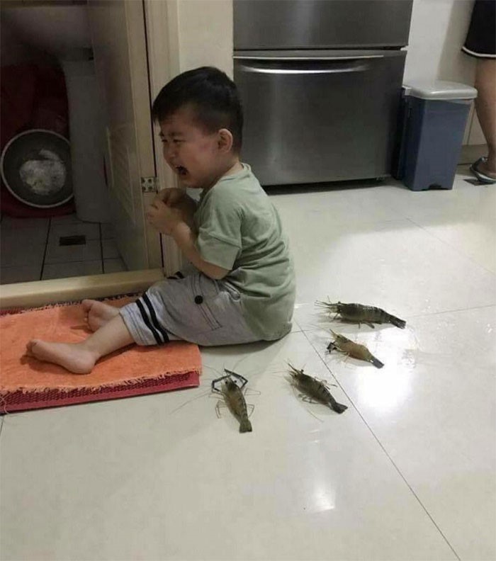 열라 쎄보이는 동물모음