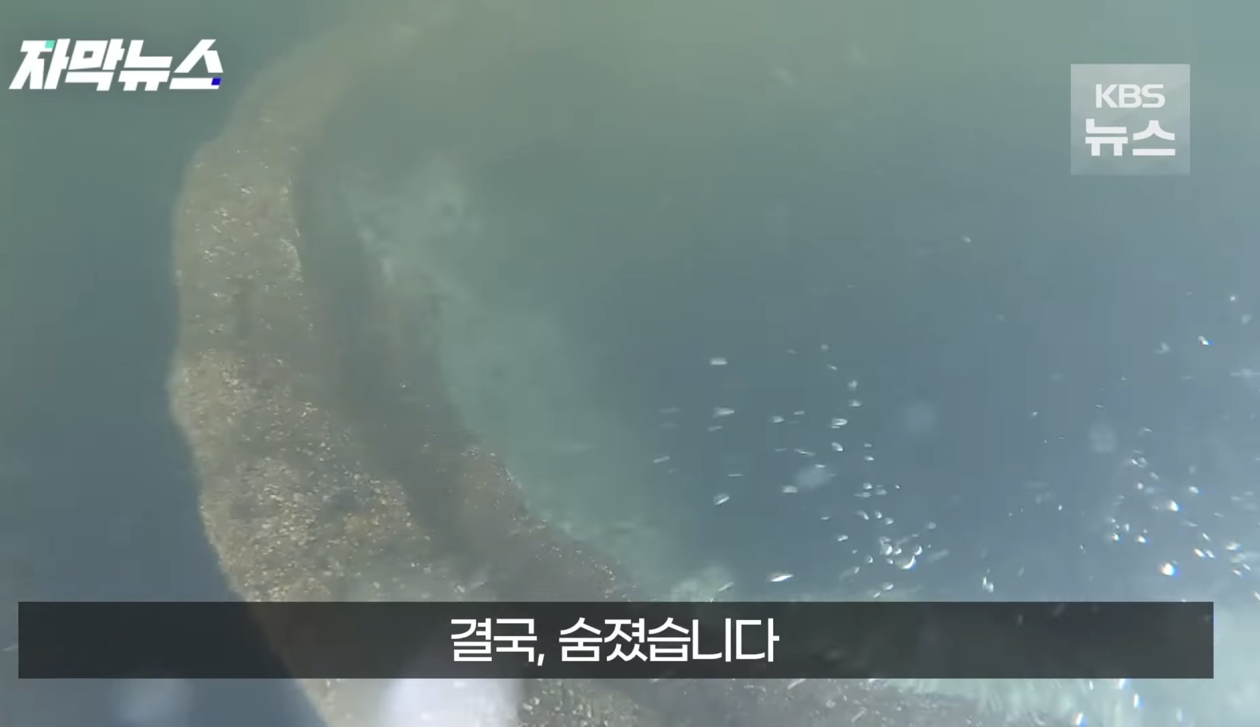 얕은 계곡이라고 방심하면 안되는 이유