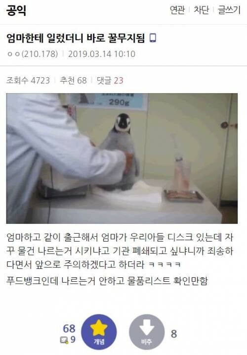 치트키 쓴 공익.jpg