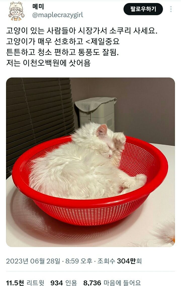 의외로 고양이가 좋아한다는 물건