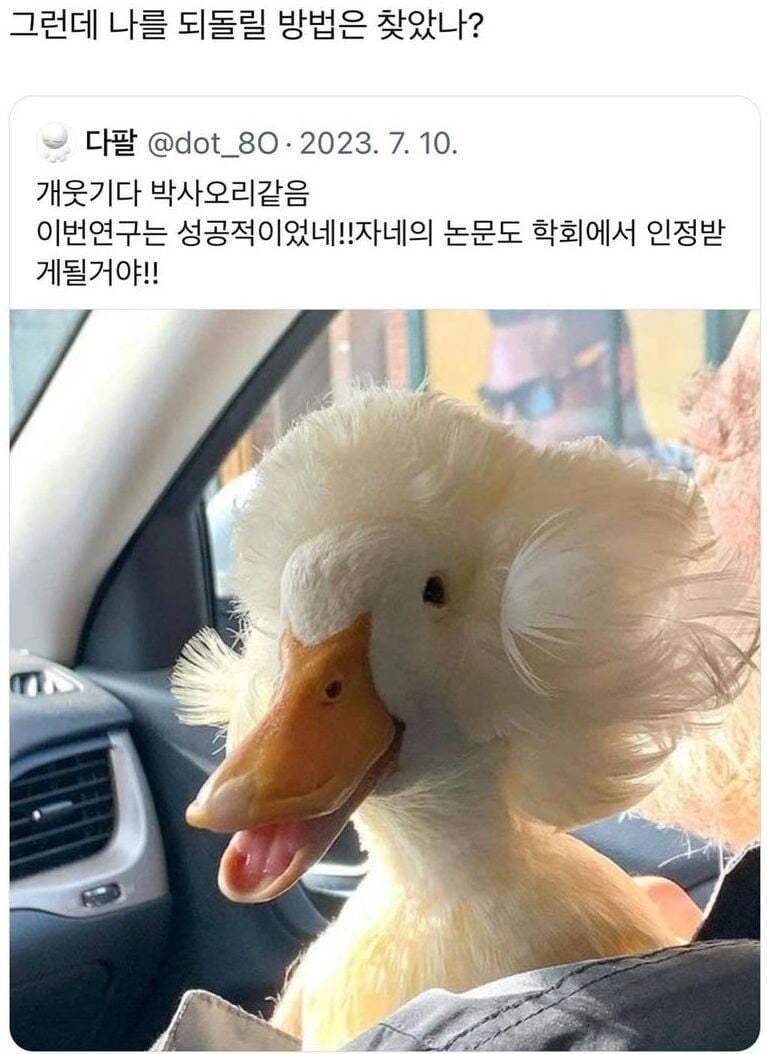 실험하다가 변신한 박사 같은 오리