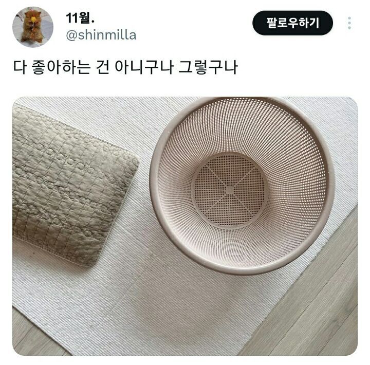 의외로 고양이가 좋아한다는 물건