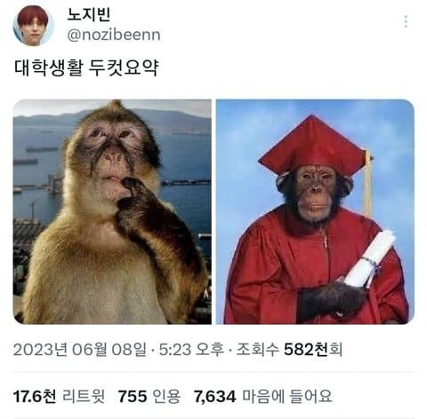 대학교 생활 두컷요약.jpg