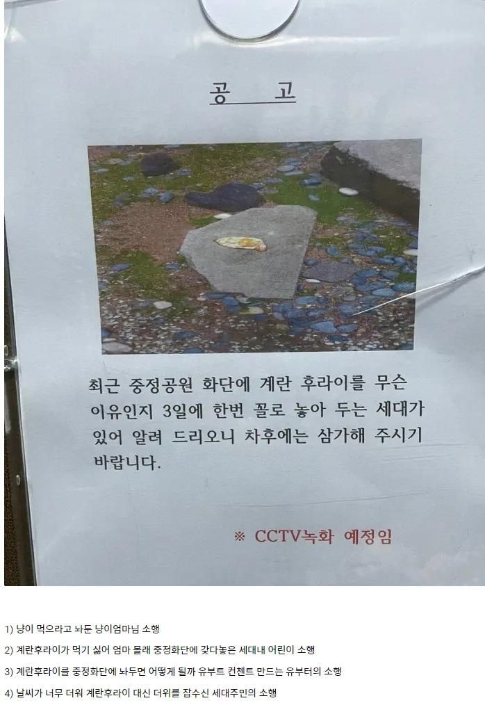 계란후라이 빌런.cctv