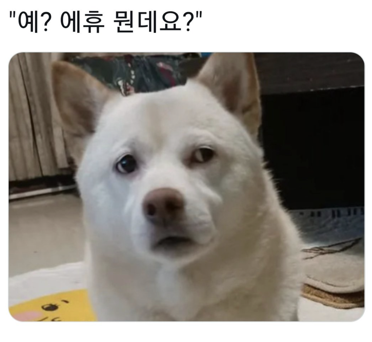 팀장님.. 저 드릴 말씀이 있는데요..