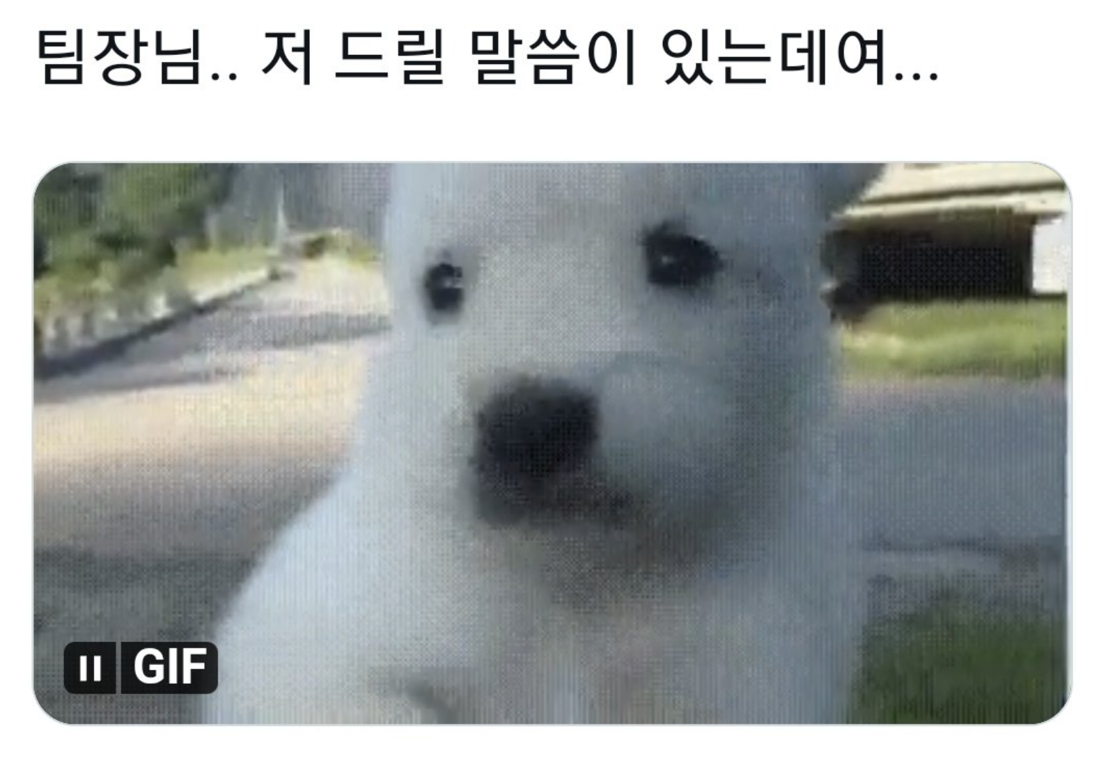 팀장님.. 저 드릴 말씀이 있는데요..