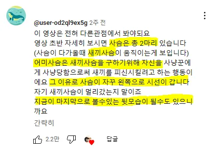 사냥꾼에게 다가오는 사슴