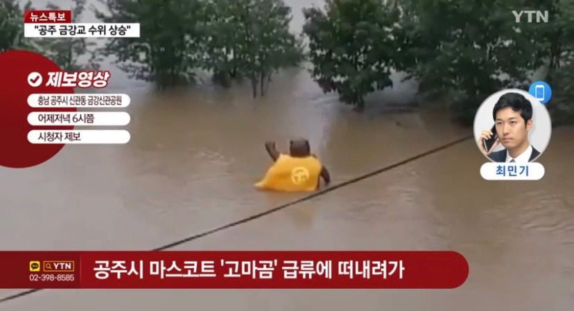 실시간 폭우로 떠내려가는 공주시의 곰.jpg