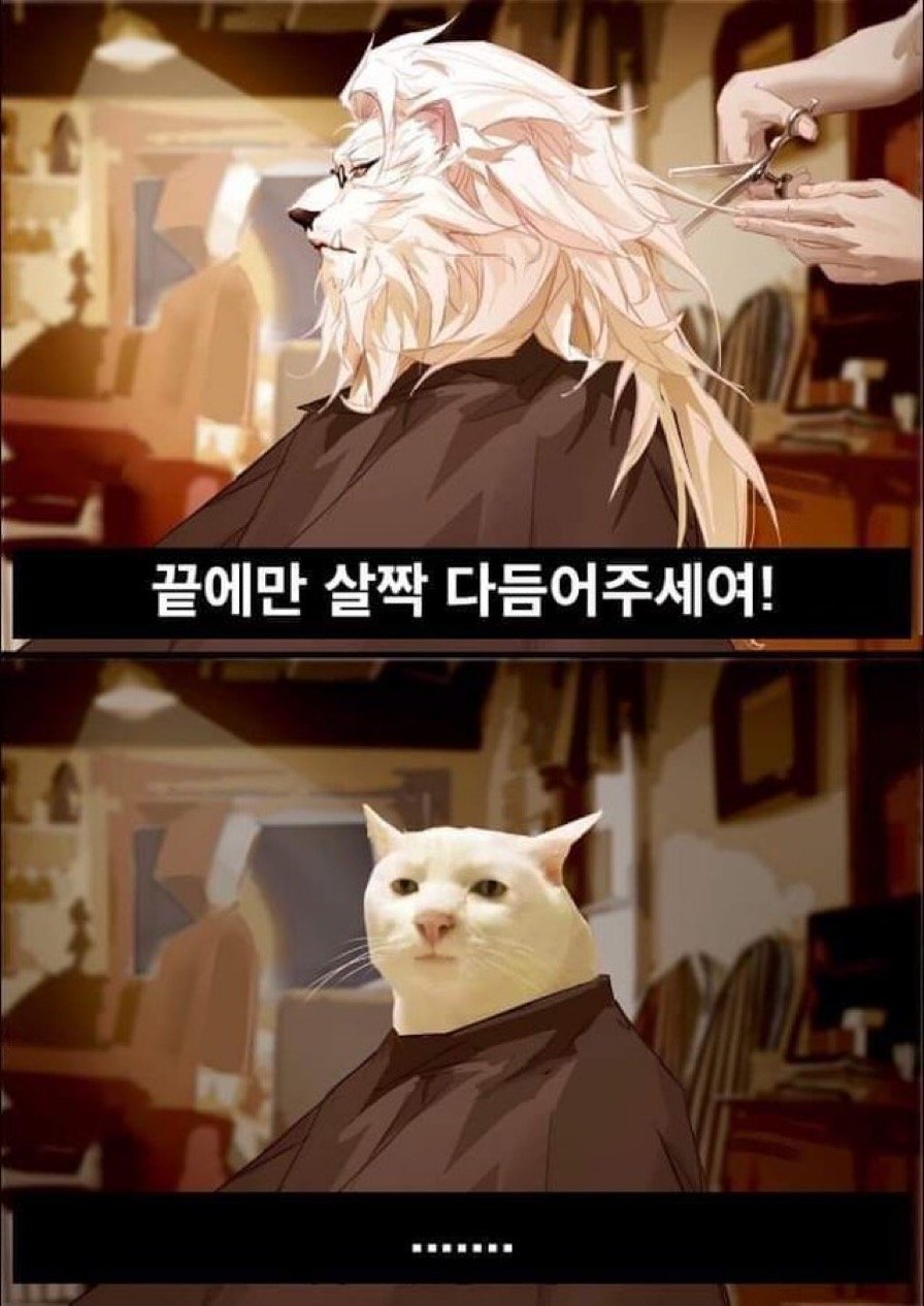 개붕이 미용실특.jpg