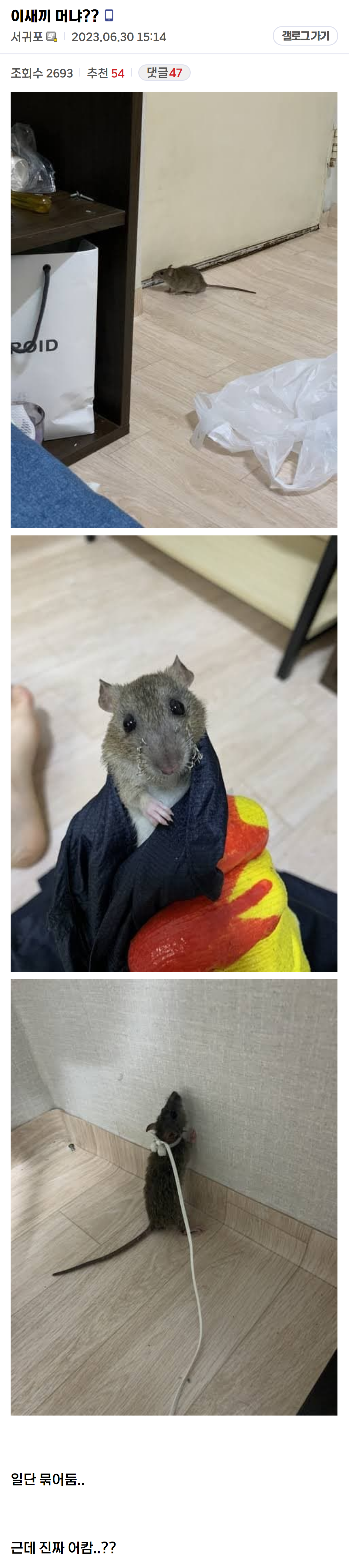 왁자지껄 중소기업 갤러리