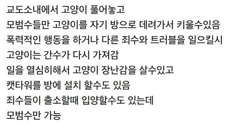 미국 교도소에서 고양이를 돌보는 재소자들.gif