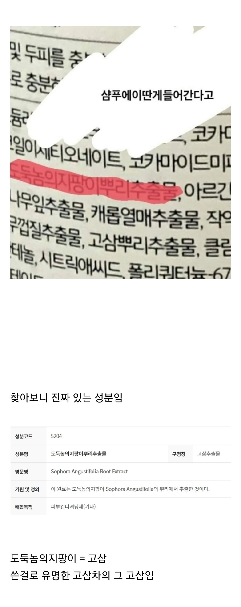샴푸에 이딴 게 들어간다고..?