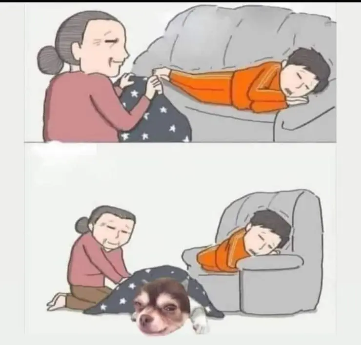 애완동물 키우는 집 공감.jpg