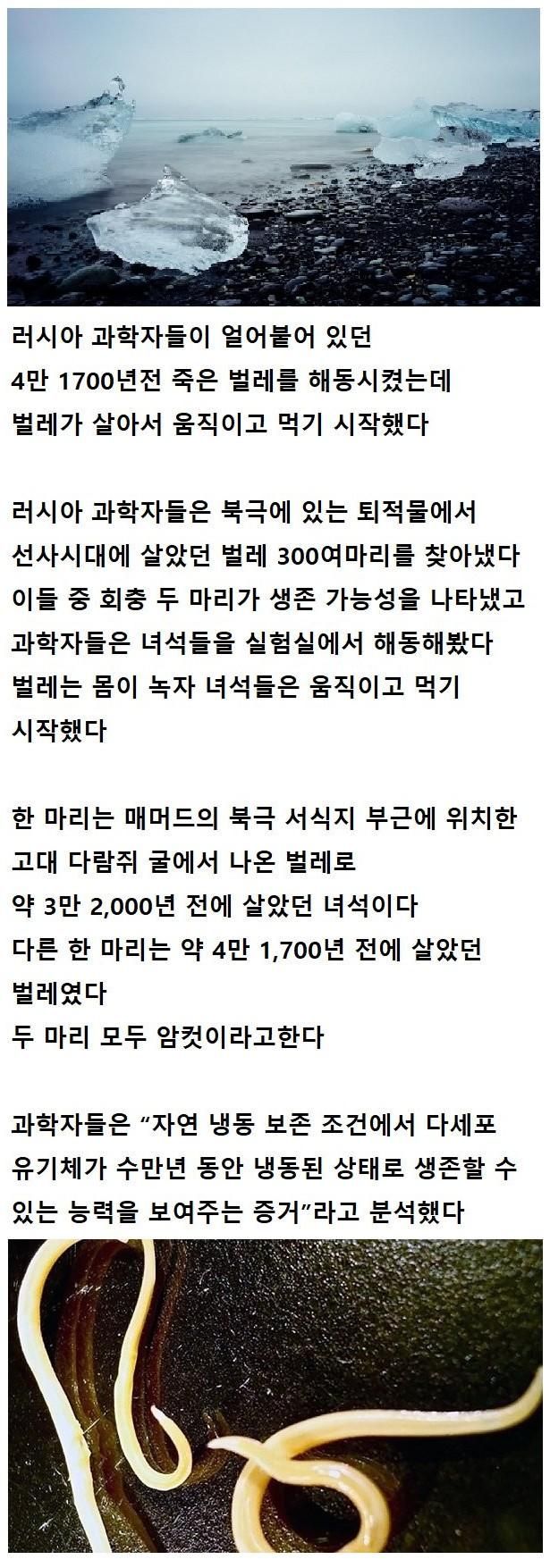 [약혐] 4만년전 죽은 벌레를 해동시켜본 과학자들