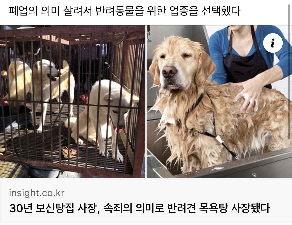 30년 보신탕집 사장, 속죄의 의미로 반려견 목욕탕 사장으로....