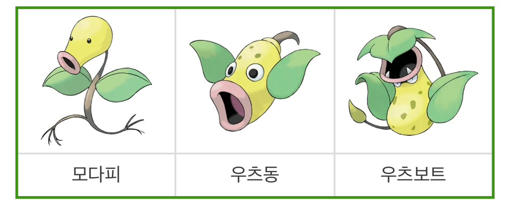 변기의 운명으로 태어난 식물