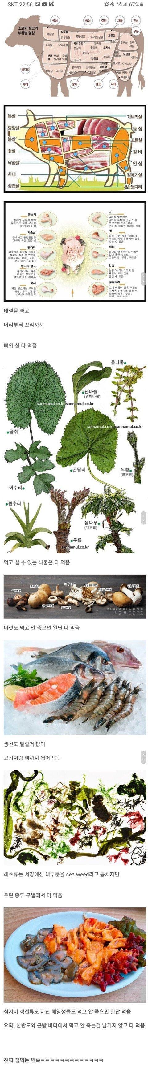 정말 잘 먹는 한국인들.