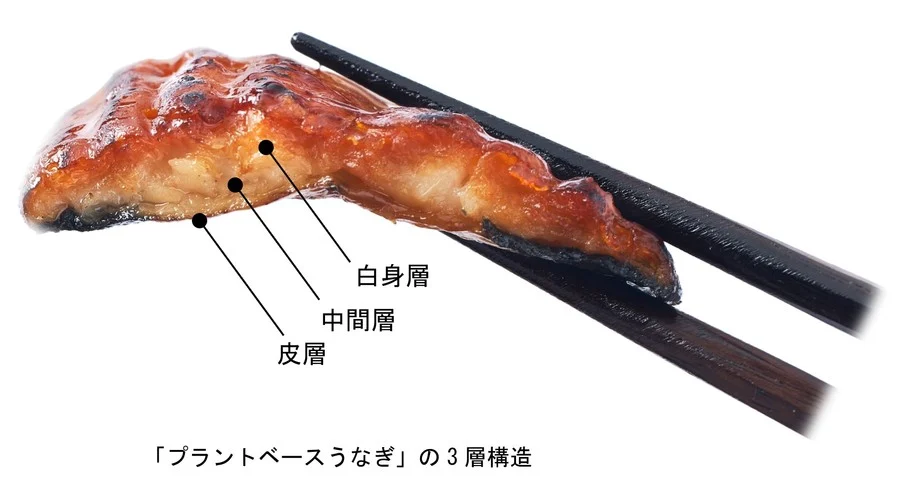 장어에 미친 일본 근황.JPG