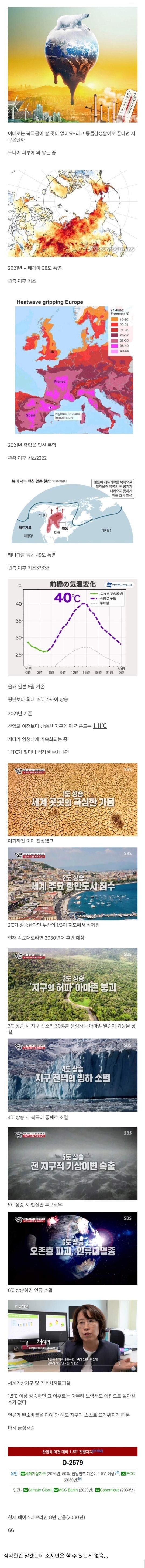 80억명의 조별과제 유효기간.jpg