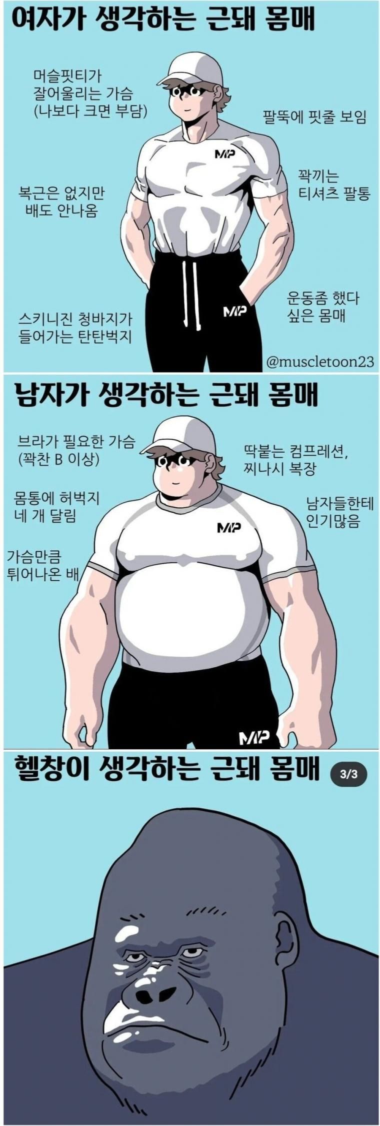 근돼 3단계의 관점