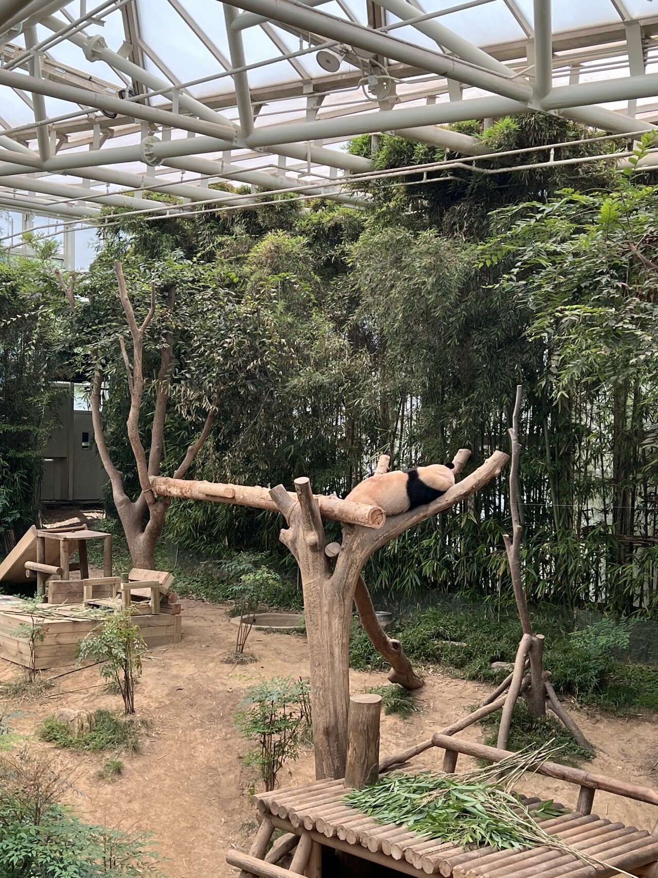 오늘자 폭염 에버랜드
