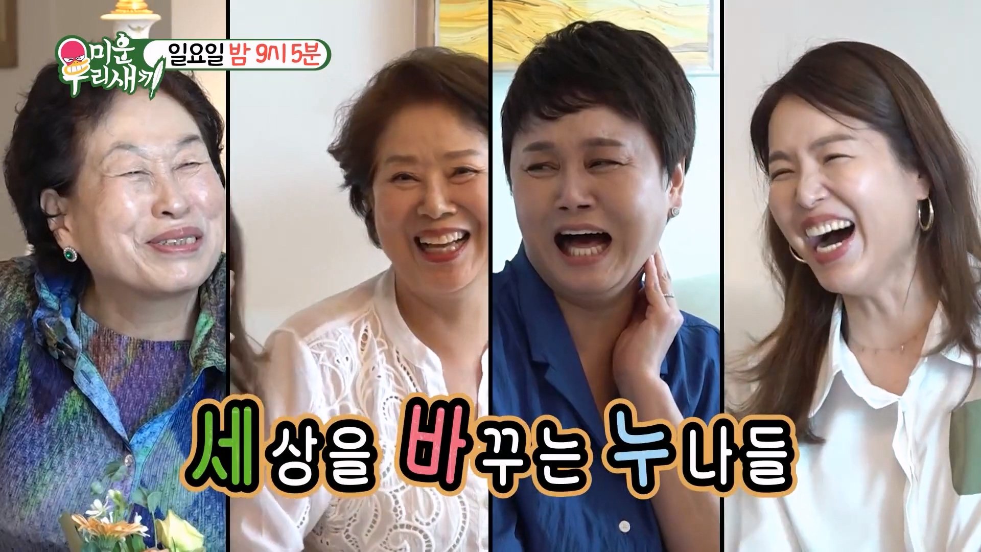 미우새 X세바퀴 센언니들 콜라보