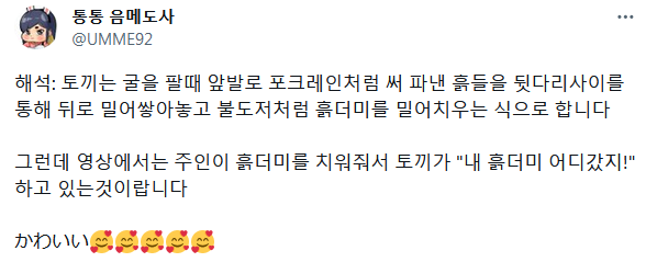 굴파던 토끼가 당황한 이유