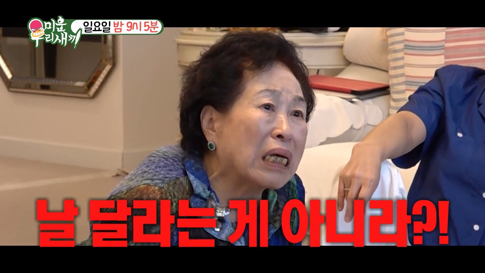 미우새 X세바퀴 센언니들 콜라보