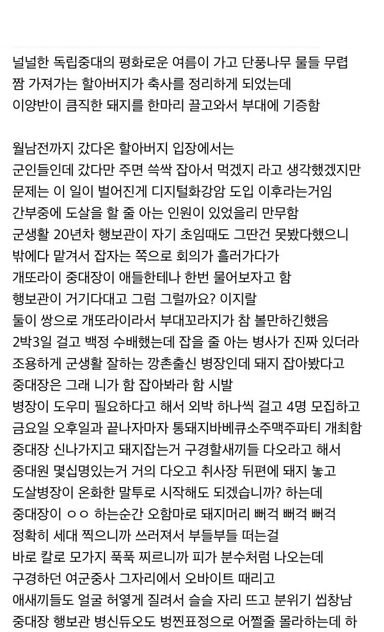 군부대에서 돼지를 생으로 도살했던 썰.jpg