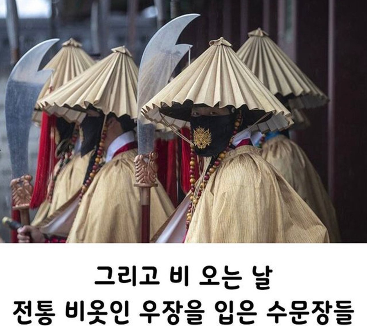 경복궁 수문장들 마스크와 비옷.jpg