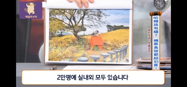 코로나때 더 발전 시켜놨다며 한국 관광업 극찬하는 대만프로