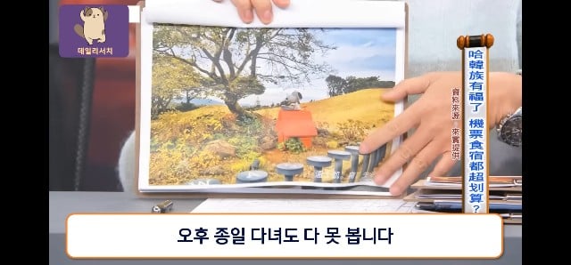 코로나때 더 발전 시켜놨다며 한국 관광업 극찬하는 대만프로