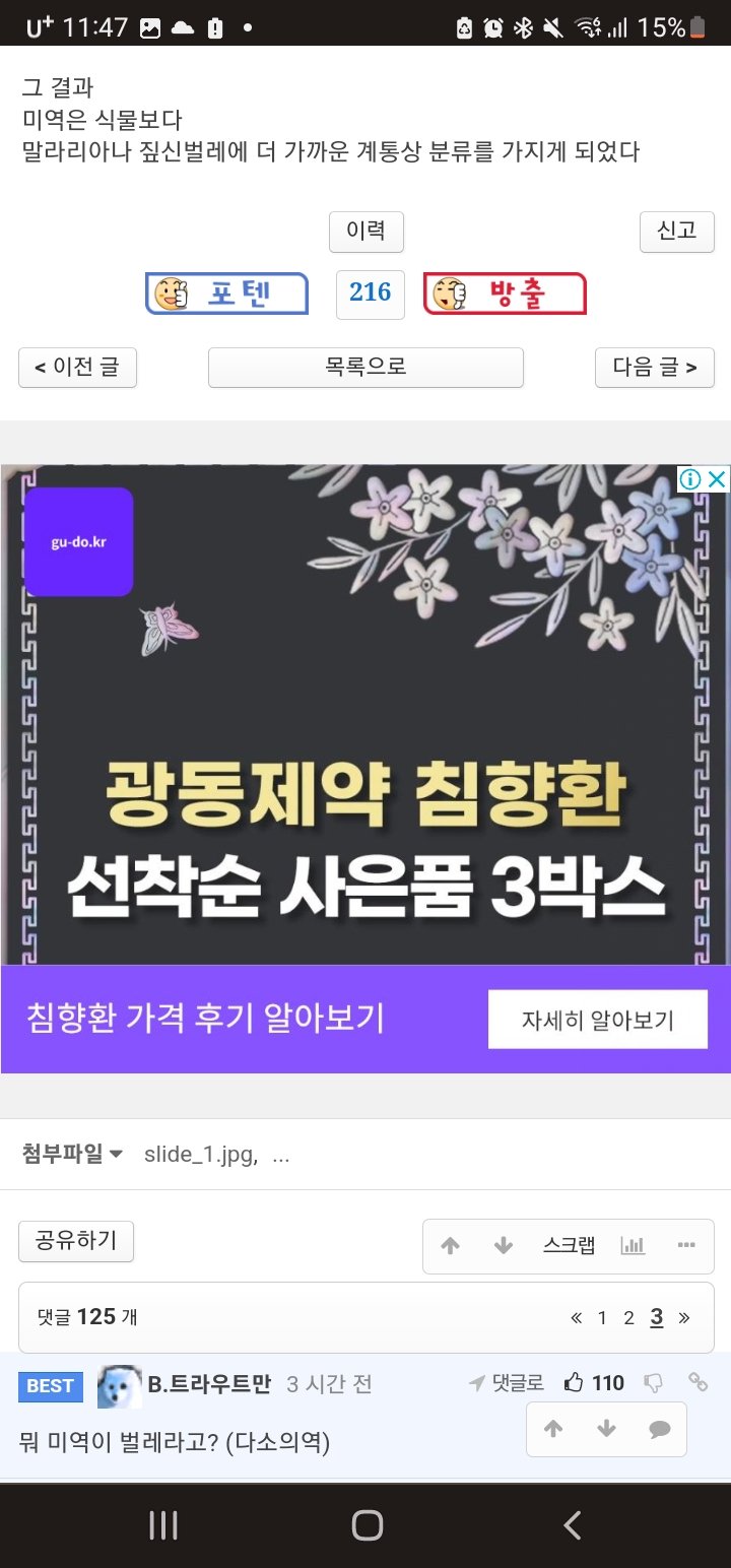 미역과 버섯이 식물이 아닌이유